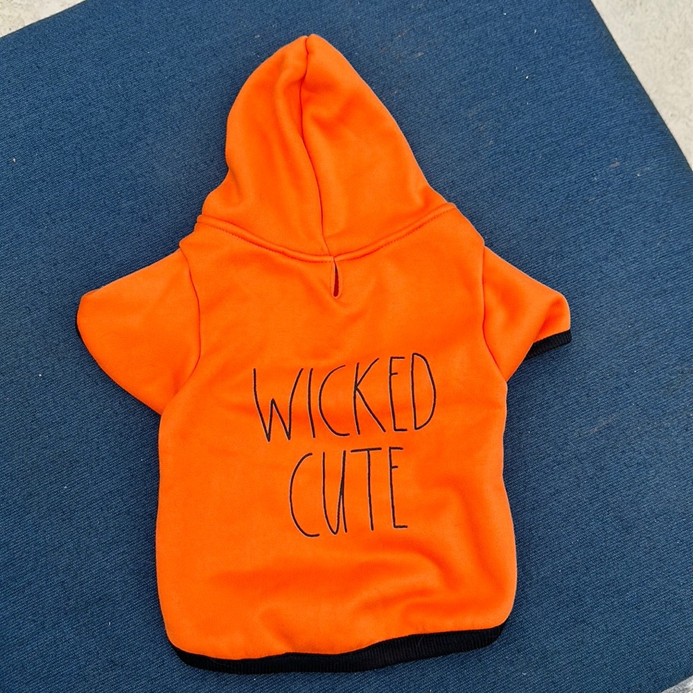 Rae Dunn Dog Halloween Hoodie “wicked cute” 100% cotton small